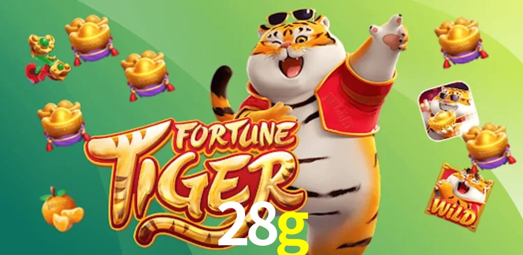 Responsive Design 28g